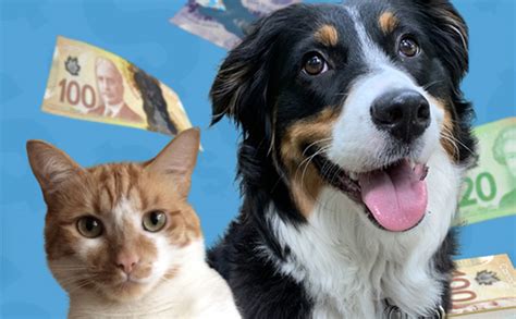 spca bc lottery 2023.